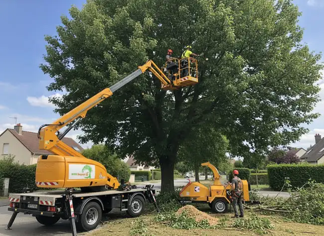 Élagueur sur un camion nacelle